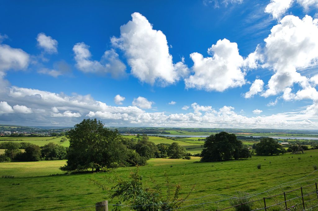 Beautiful view of green fields and countryside expanse and bright blue sky